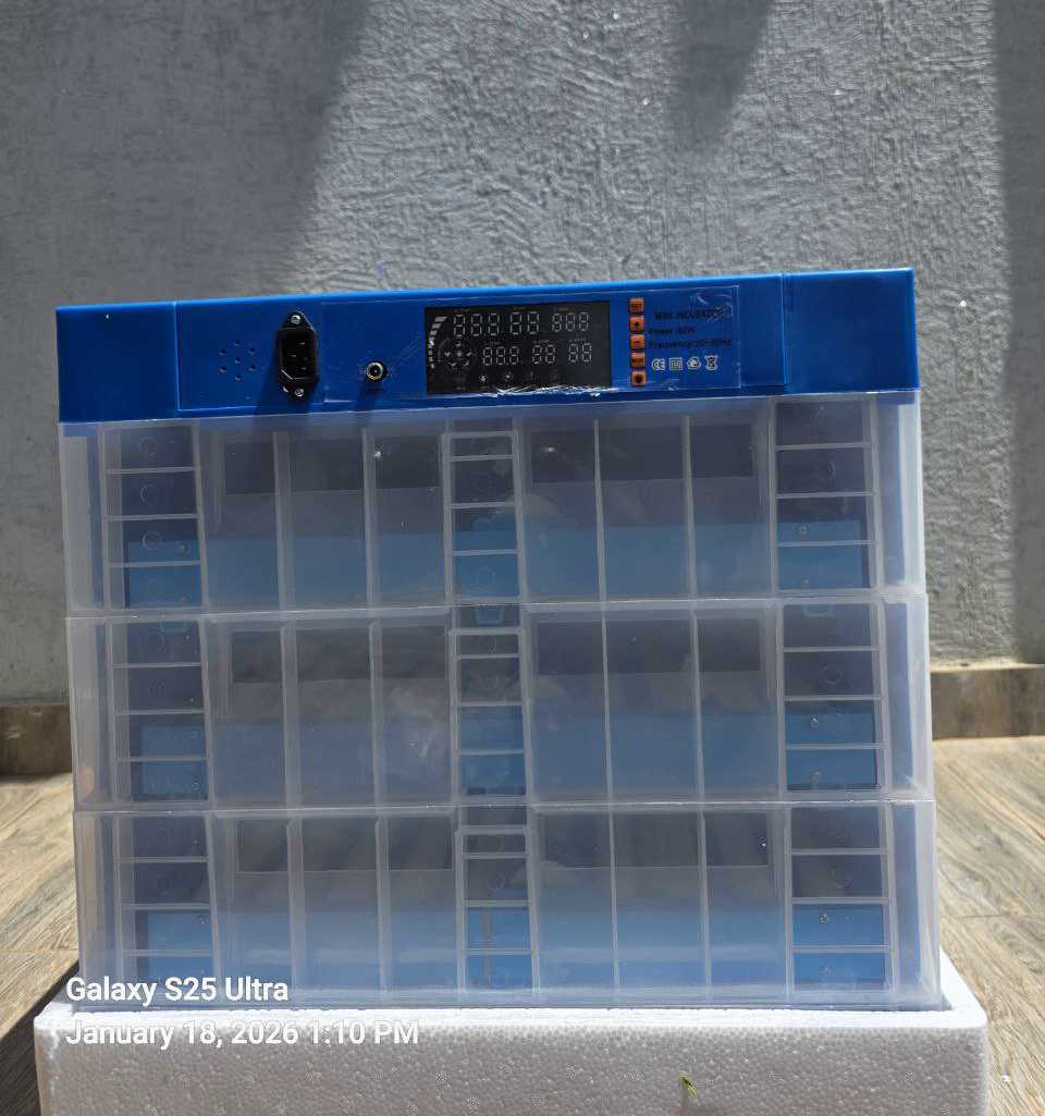 2be8e57c-c030-4428-8d17-385cebfdc4fd 256-Egg AC/DC Automatic Egg Incubator - Image 1